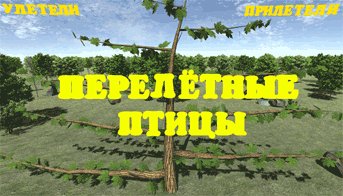 Перелётные птицы