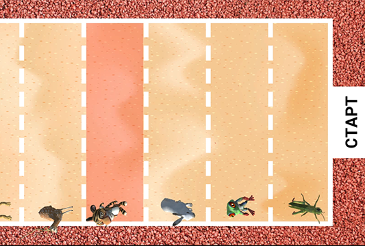 Прыжки в длину