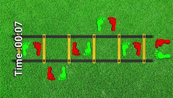 Координационная лестница 