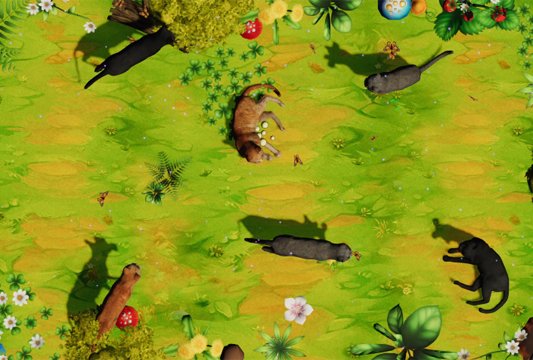 Гладим кошек видео