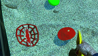 Закати шарики