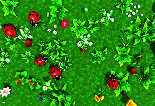 Божьи коровки