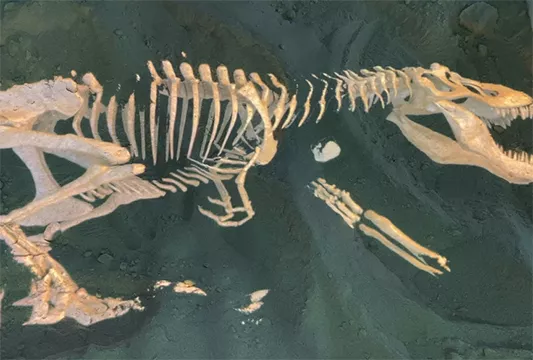 Раскопки динозавра