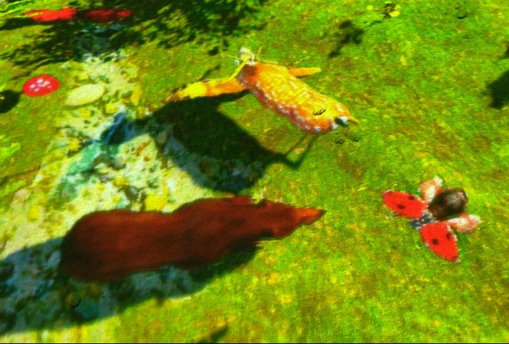 Лесные животные