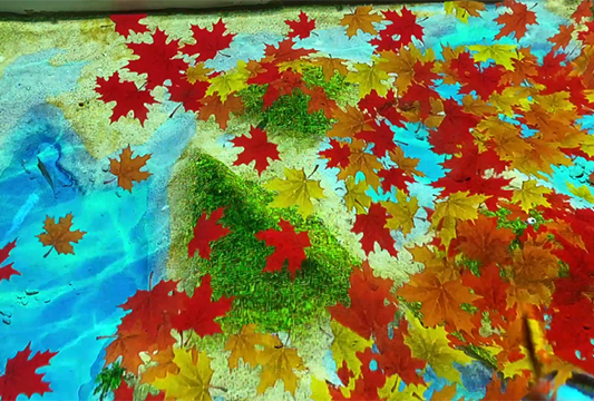 Четыре сезона