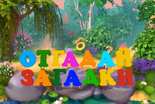 Отгадай загадки 