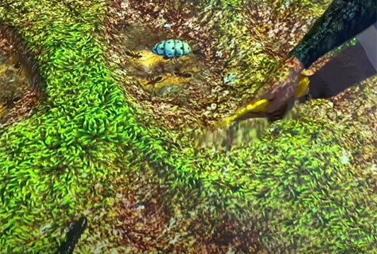 Подземные жители 