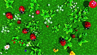 Божьи коровки 