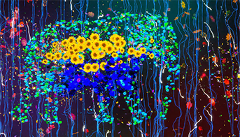 Цветы в мире животных 