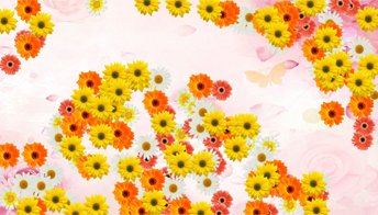 Россыпь цветов