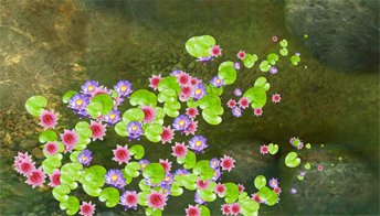 Болотные цветы