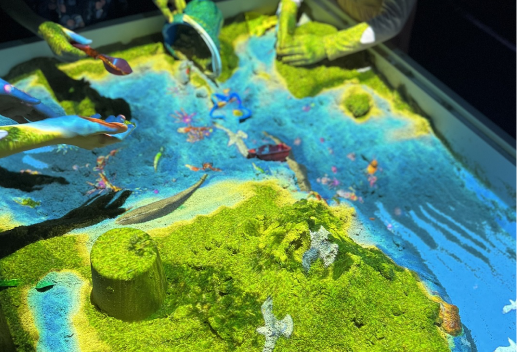 PlayToday г.Киров