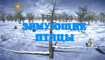 Зимующие птицы