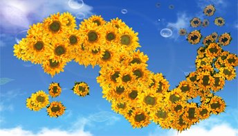 Подсолнухи