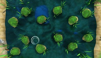 С кочки на кочку 