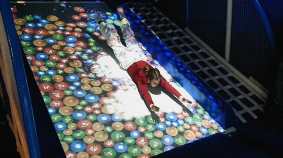 Батутный парк 