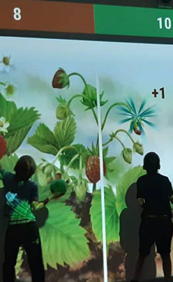 Умные каникулы с интерактивным оборудованием